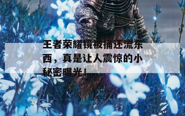 王者荣耀镜被捅还流东西，真是让人震惊的小秘密曝光！