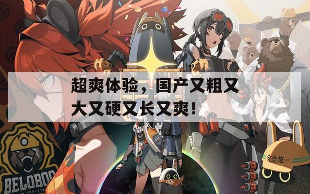 超爽体验，国产又粗又大又硬又长又爽！