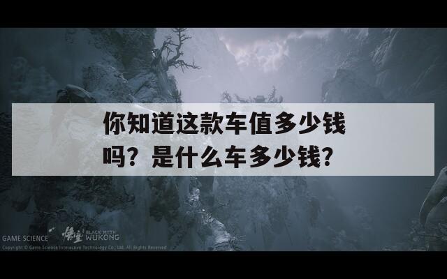 你知道这款车值多少钱吗？是什么车多少钱？