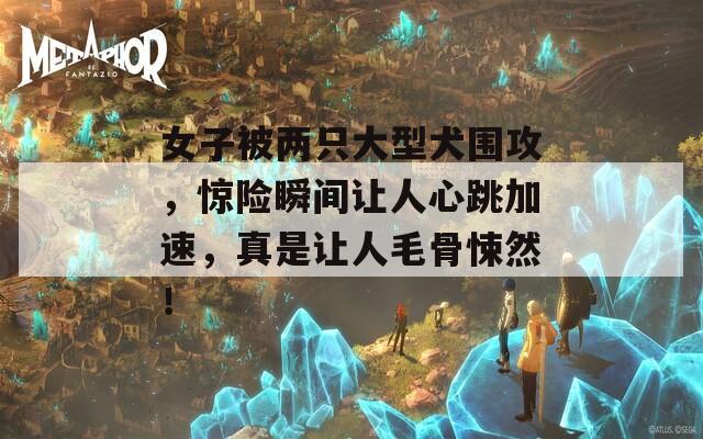 女子被两只大型犬围攻，惊险瞬间让人心跳加速，真是让人毛骨悚然！
