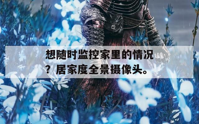 想随时监控家里的情况？居家度全景摄像头。