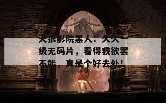 天狼影院黑人：久久一级无码片，看得我欲罢不能，真是个好去处！