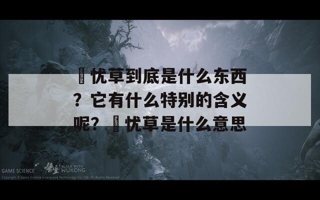 莣忧草到底是什么东西？它有什么特别的含义呢？莣忧草是什么意思