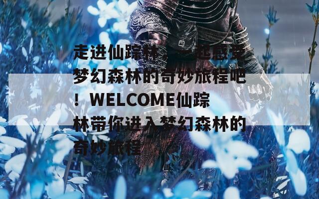 走进仙踪林，一起感受梦幻森林的奇妙旅程吧！WELCOME仙踪林带你进入梦幻森林的奇妙旅程