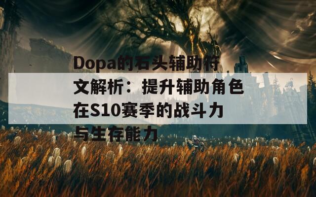 Dopa的石头辅助符文解析：提升辅助角色在S10赛季的战斗力与生存能力