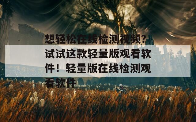 想轻松在线检测视频？试试这款轻量版观看软件！轻量版在线检测观看软件