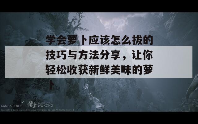 学会萝卜应该怎么拔的技巧与方法分享，让你轻松收获新鲜美味的萝卜