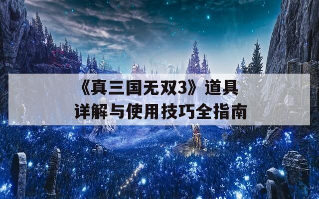 《真三国无双3》道具详解与使用技巧全指南