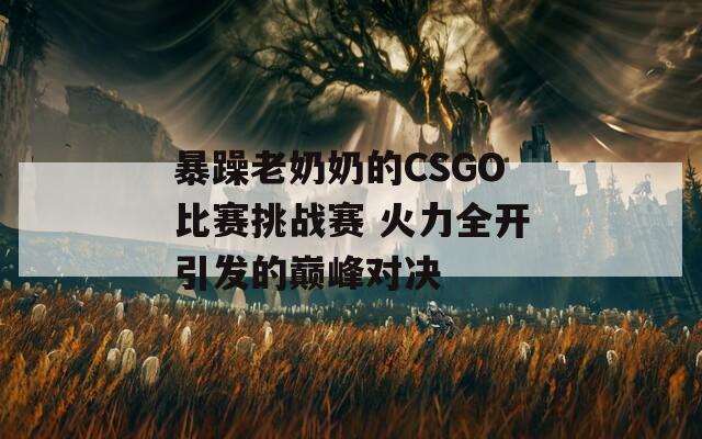 暴躁老奶奶的CSGO比赛挑战赛 火力全开引发的巅峰对决