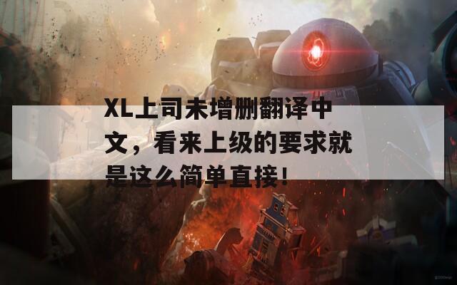 XL上司未增删翻译中文，看来上级的要求就是这么简单直接！