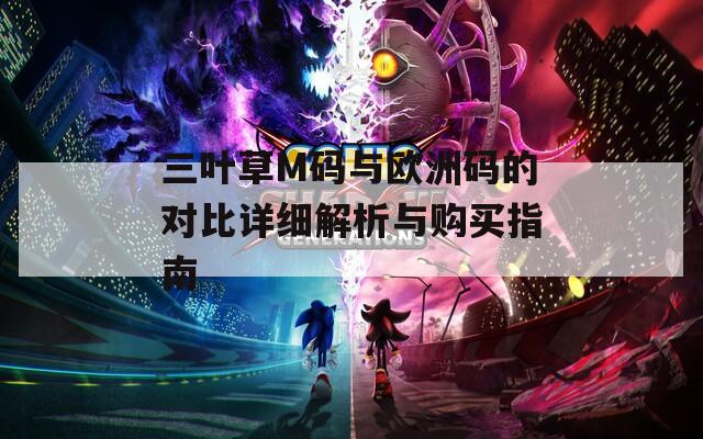 三叶草M码与欧洲码的对比详细解析与购买指南