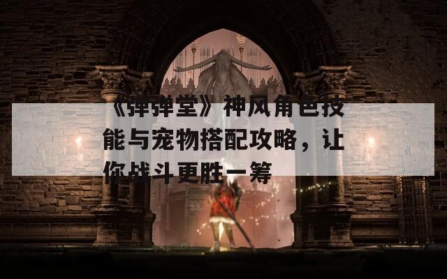 《弹弹堂》神风角色技能与宠物搭配攻略，让你战斗更胜一筹