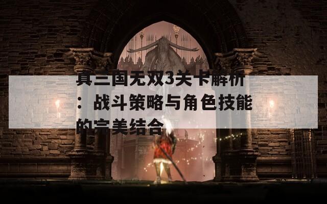 真三国无双3关卡解析：战斗策略与角色技能的完美结合