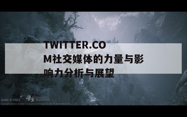 TWITTER.COM社交媒体的力量与影响力分析与展望