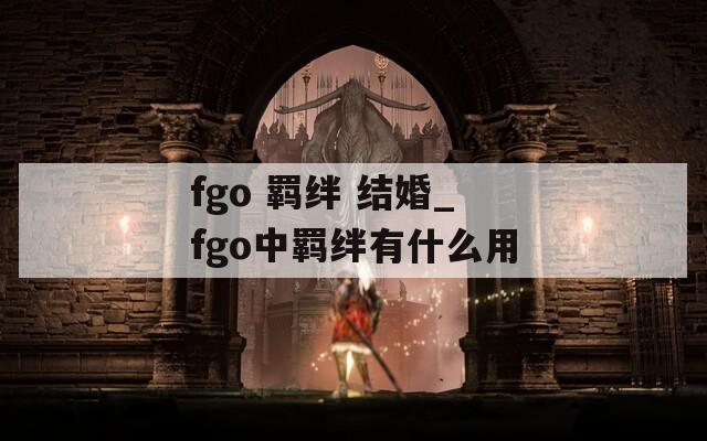 fgo 羁绊 结婚_fgo中羁绊有什么用