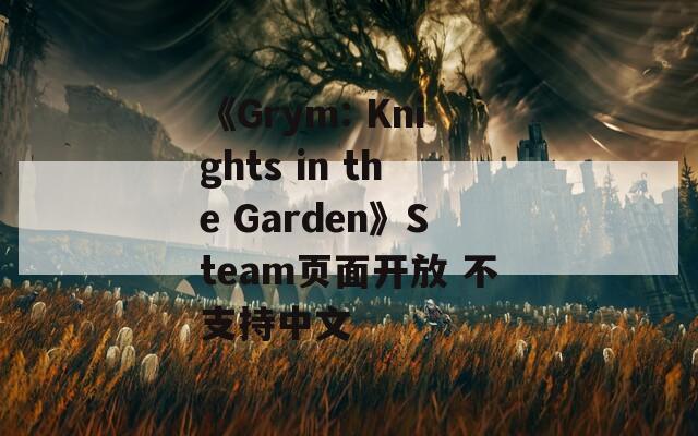 《Grym: Knights in the Garden》Steam页面开放 不支持中文